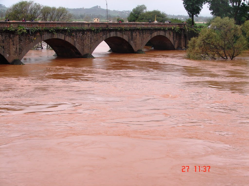shivaji bridge - river panchaganga