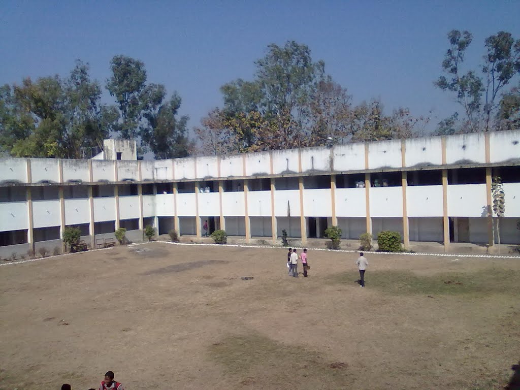 P.N.College