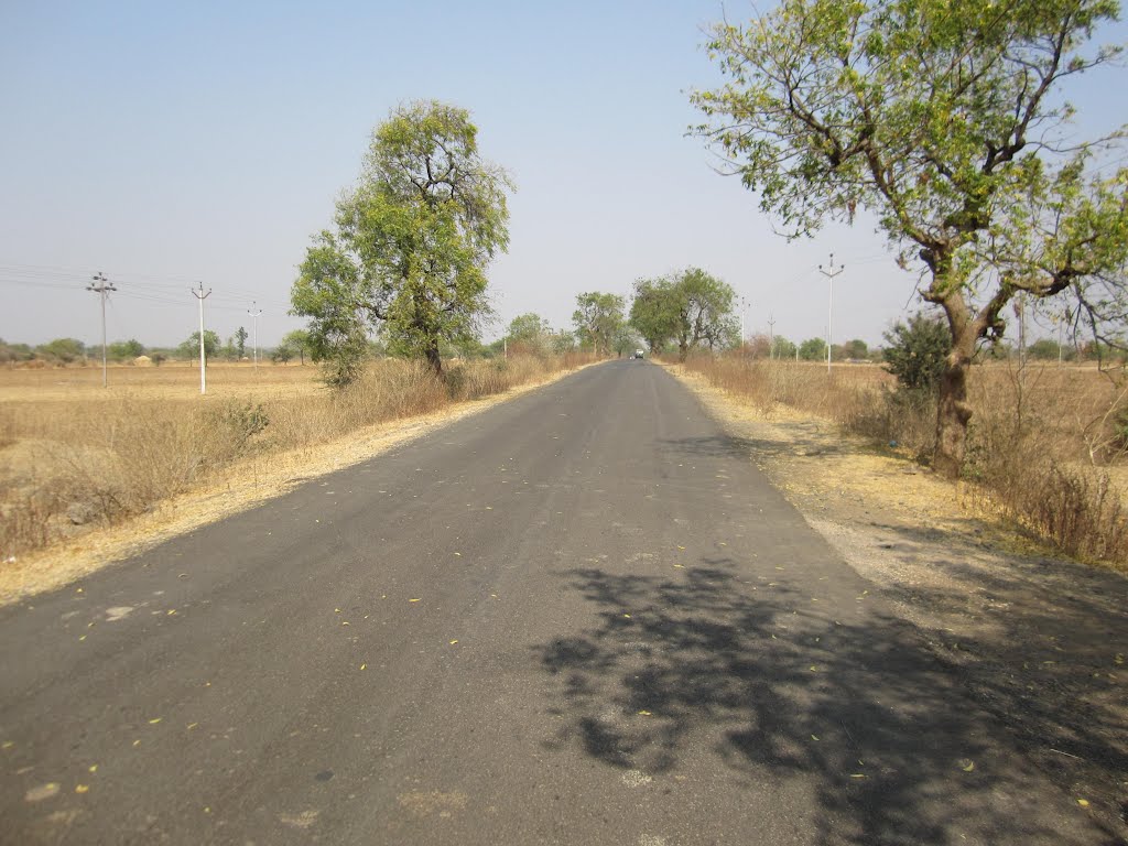 Near Tarwadi Village, Near Nandura, Buldhana District, Maharashtra