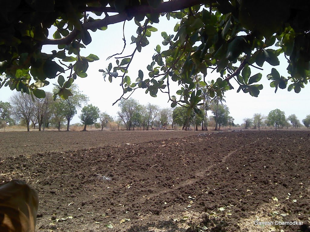 A farm in Hingna Balapur (New)