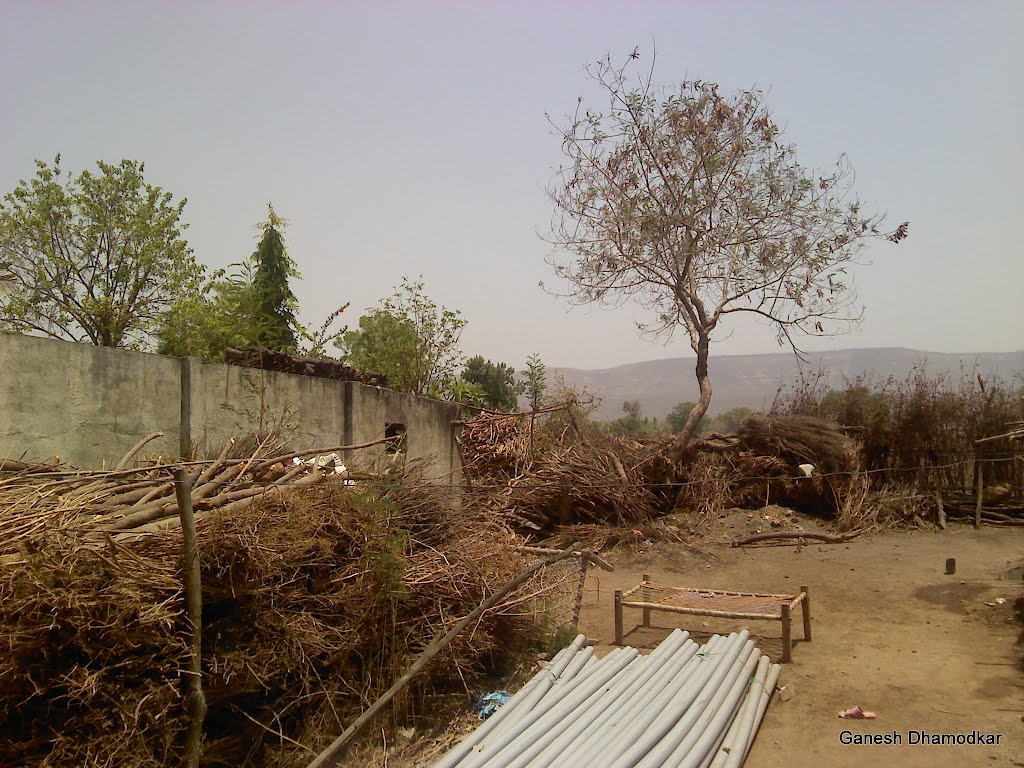 A view from Borkheda (note the Satpuda ranges in the skyline)