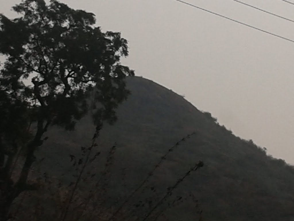 Near Aoundha Nagnath