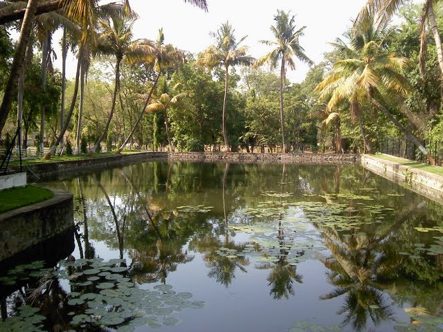 Scenery at Grotto of Mother Lourdes, Nagpur