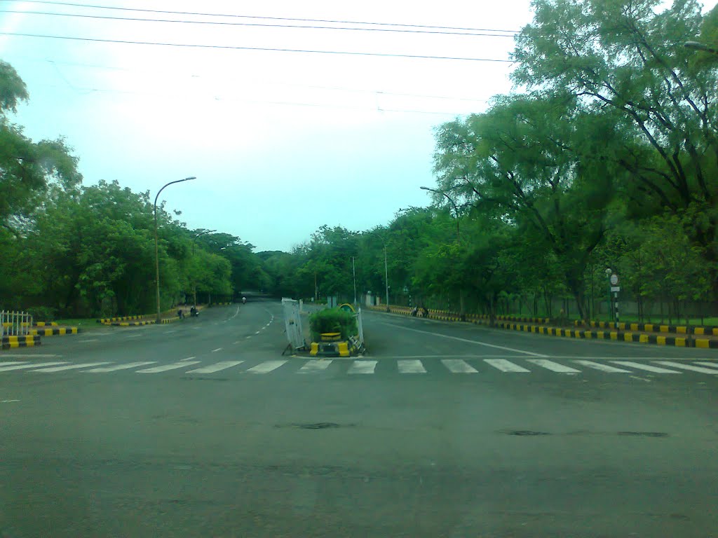Tree lined road near Seminery Hills, Nagpur, Maharashtra