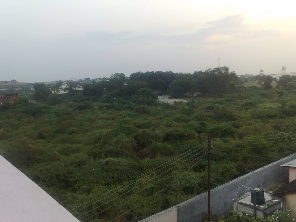 EVERGREEN FOREST OF NANDURBAR!