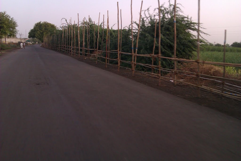 QUE LINE CONSTRUCTION FOR  VITTALA EKADASI CELEBRATIONS