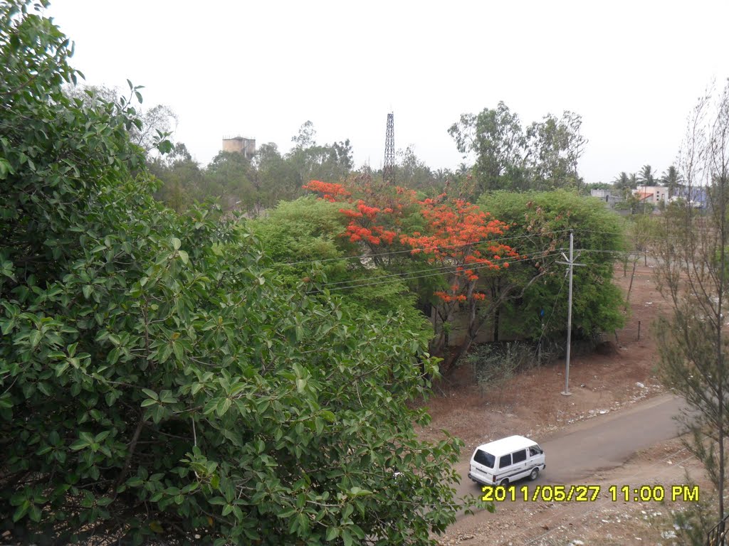 Irrigation Office area 3, Warnali