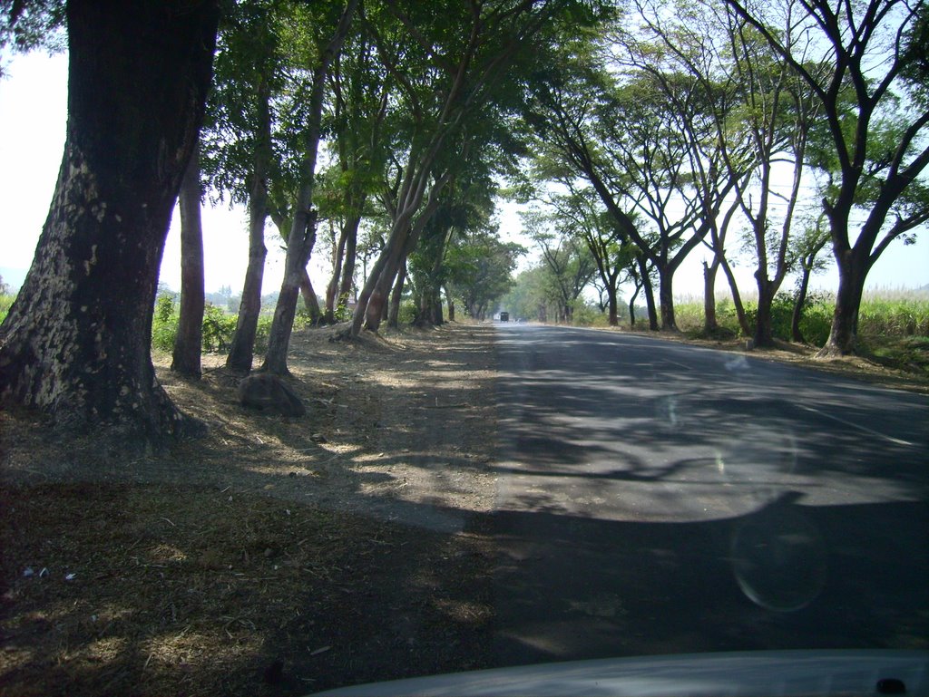 Way to Heaven