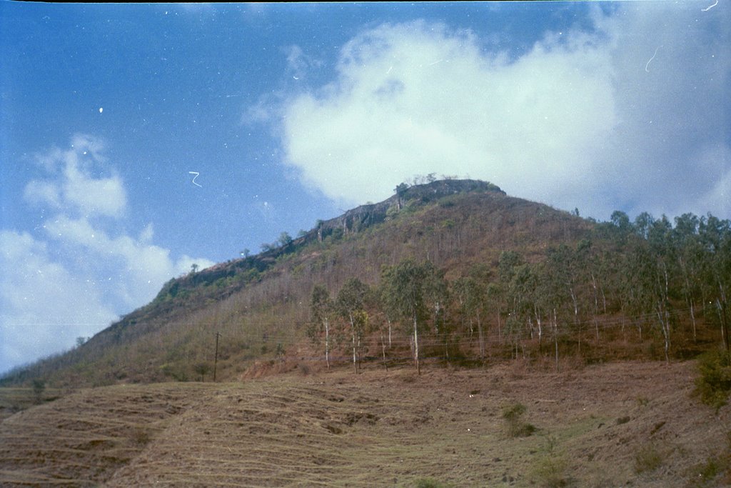 Ajinkyatara