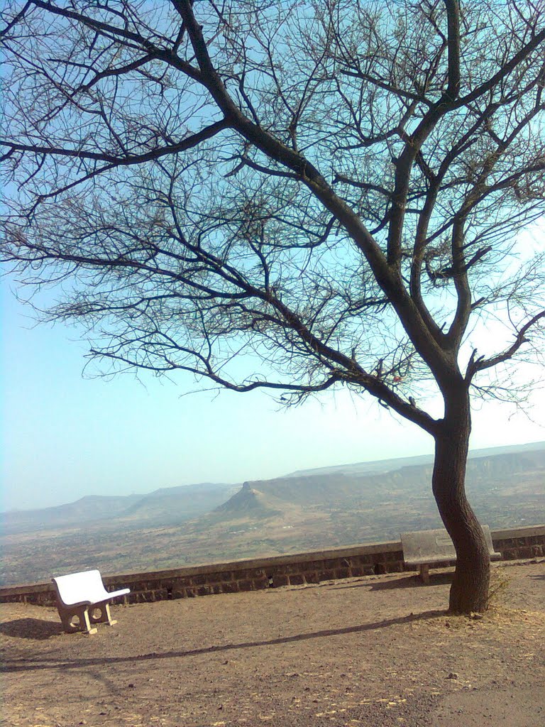शुष्क वृक्ष. Dry tree at Ajinkyatara fort.