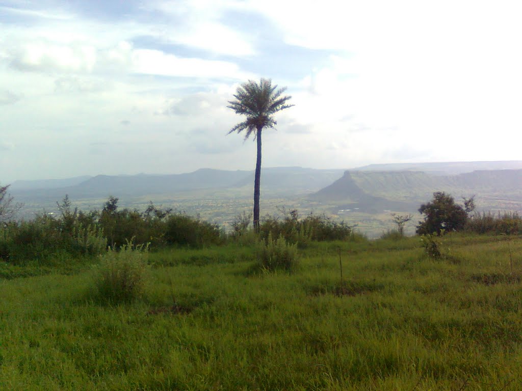 भारतभर पसरलेल्या मराठी साम्राज्याची राजधानी, अजिंक्यतारा. Fort Ajinkyatara, Diffrent view of the same tree, Different hills at background.