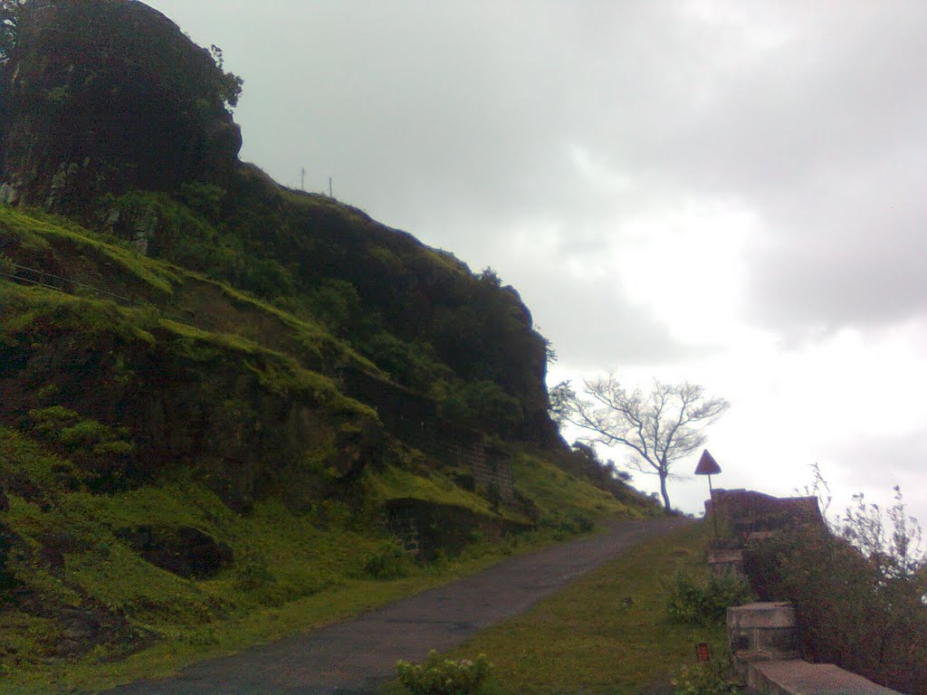 Rock cap of Fort Ajinkyatara and a beautiful dry tree in the rainy season.