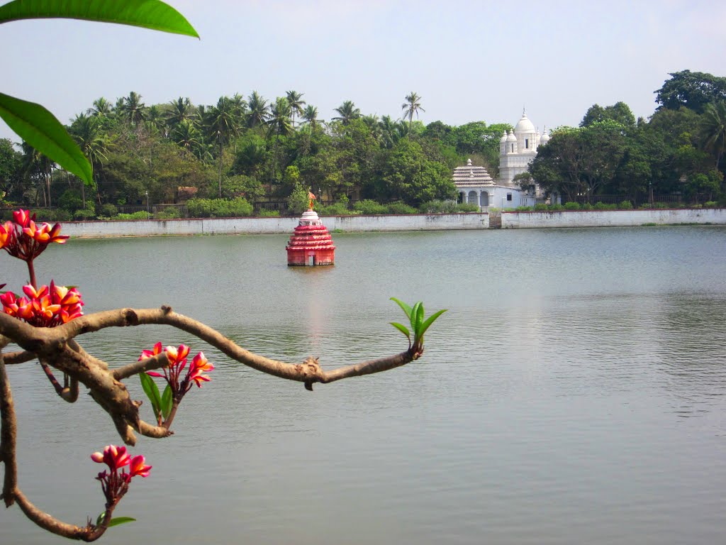 Narendra Pokhari , Puri