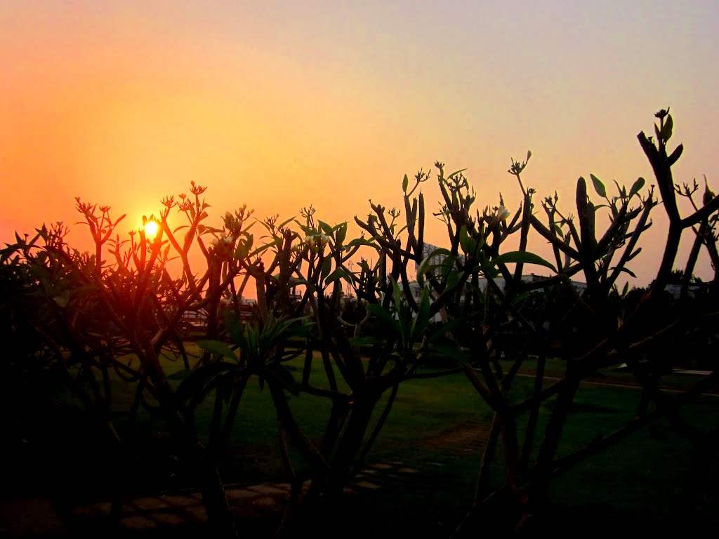 Sunset in puri