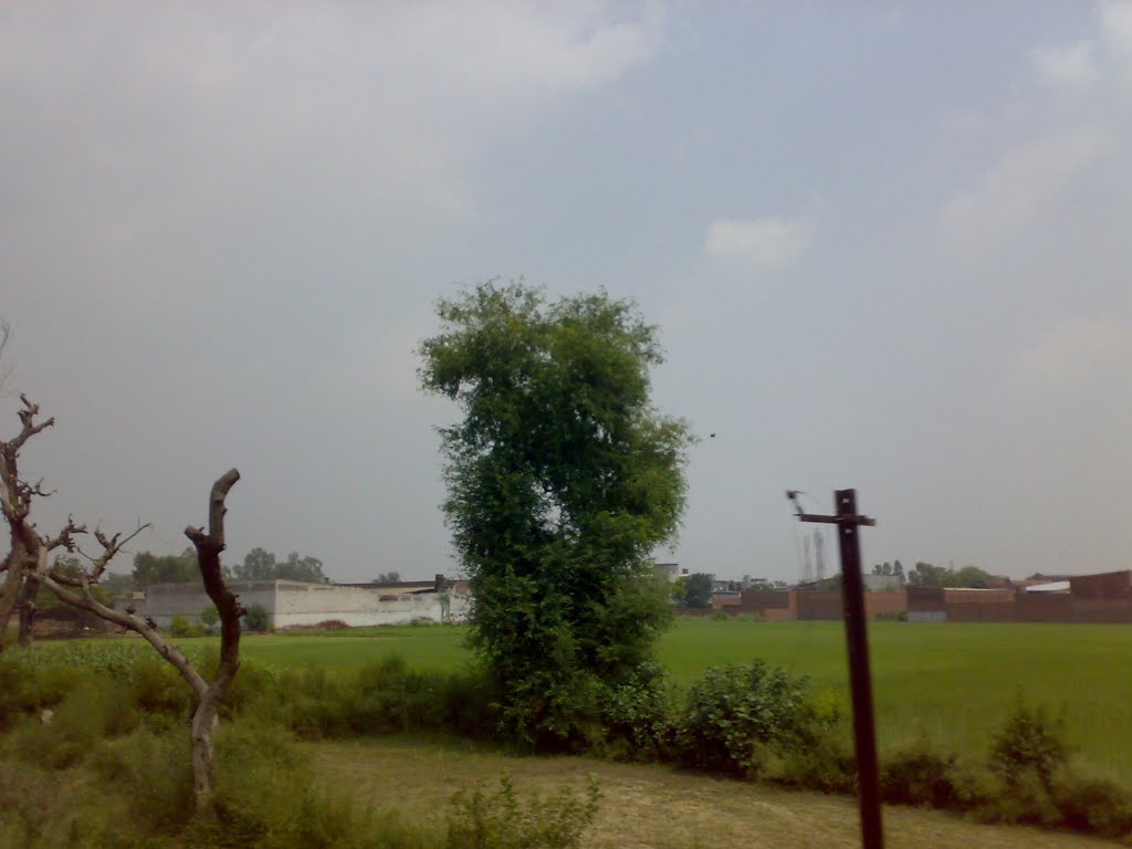 A VIEW OF NEAR BATALA  2011  ਬਟਾਲਾ BY-GURMEJ SINGH VIRK 9465177443
