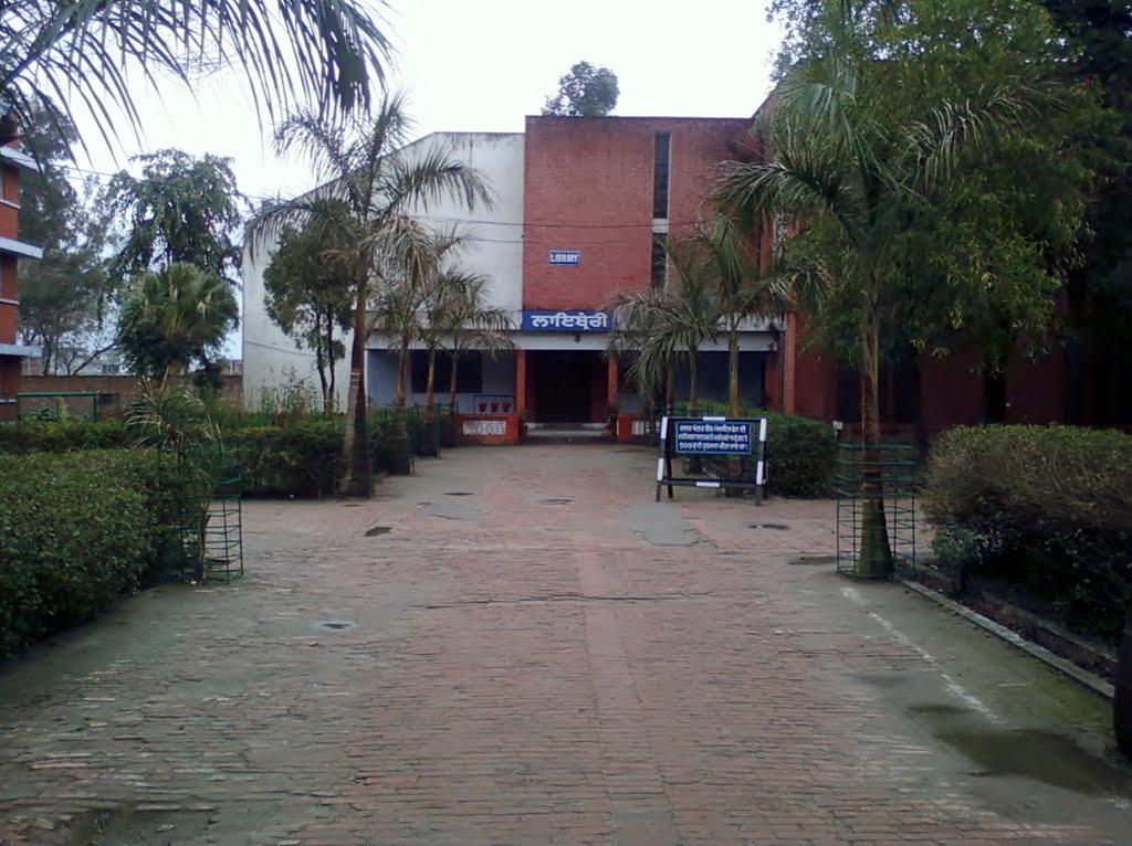 Library