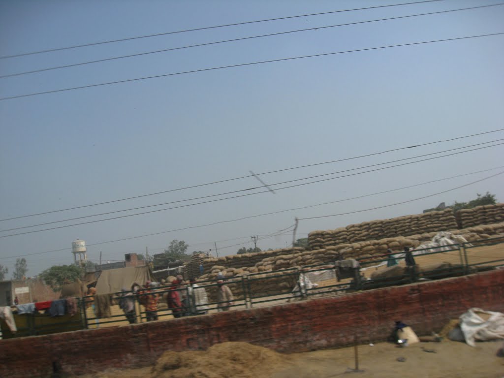Grain Market, Batala, Gurdaspur District, Punjab