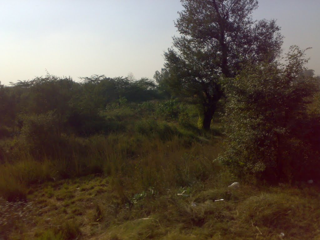 THIS PHOTO IS CAPTURE IN RUNNING TRAIN