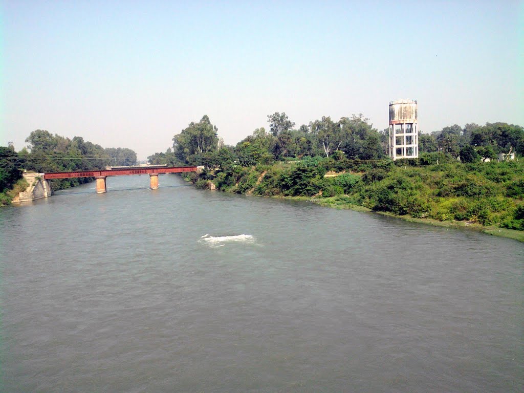 On Bridge
