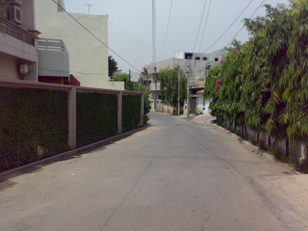 houses