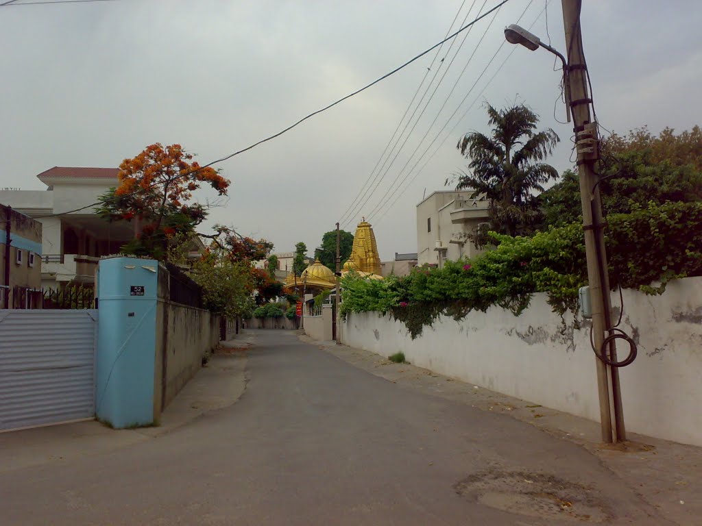 colonies