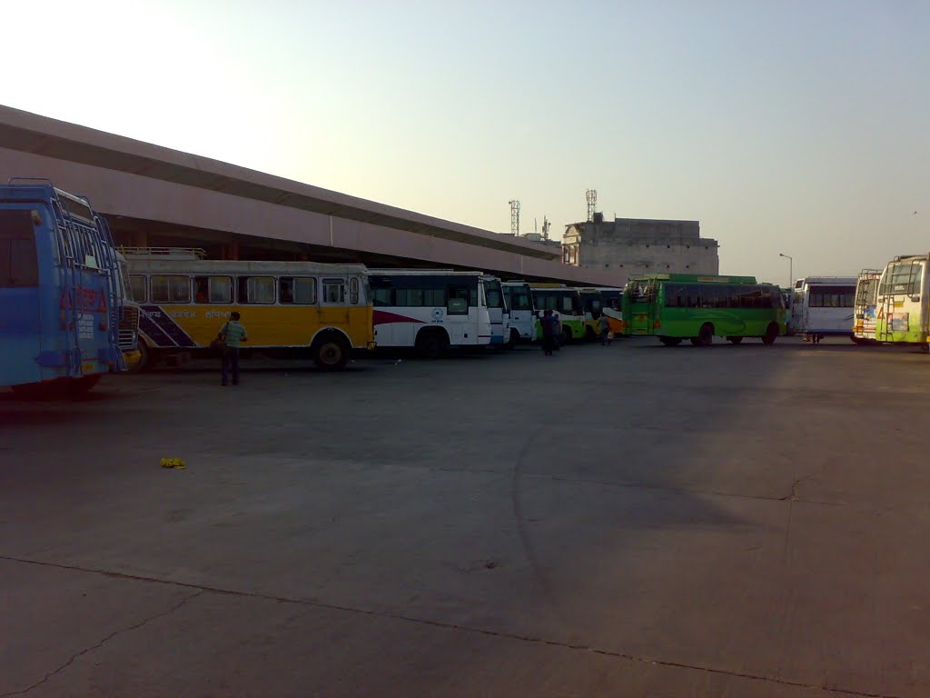 Buses
