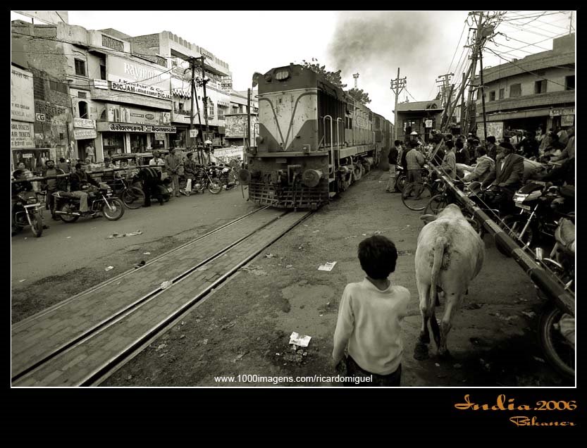 Watch out the train @ Bikaner, India