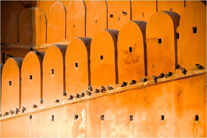 Pigeons on old red sandstone fort