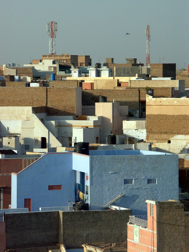 Bikaner roofs
