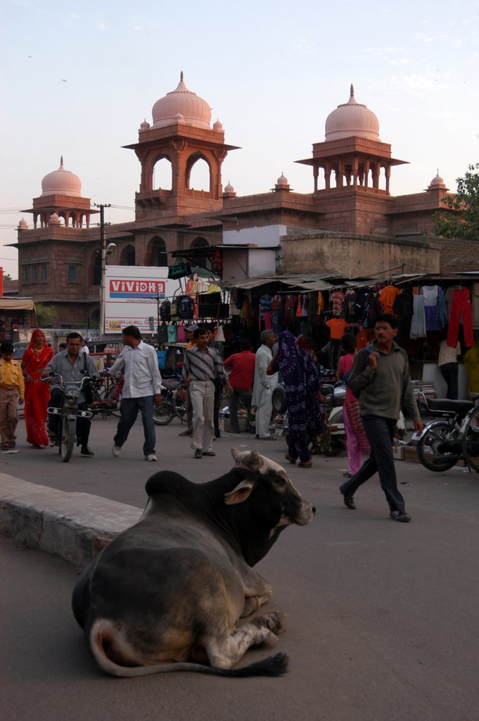 Bikaner