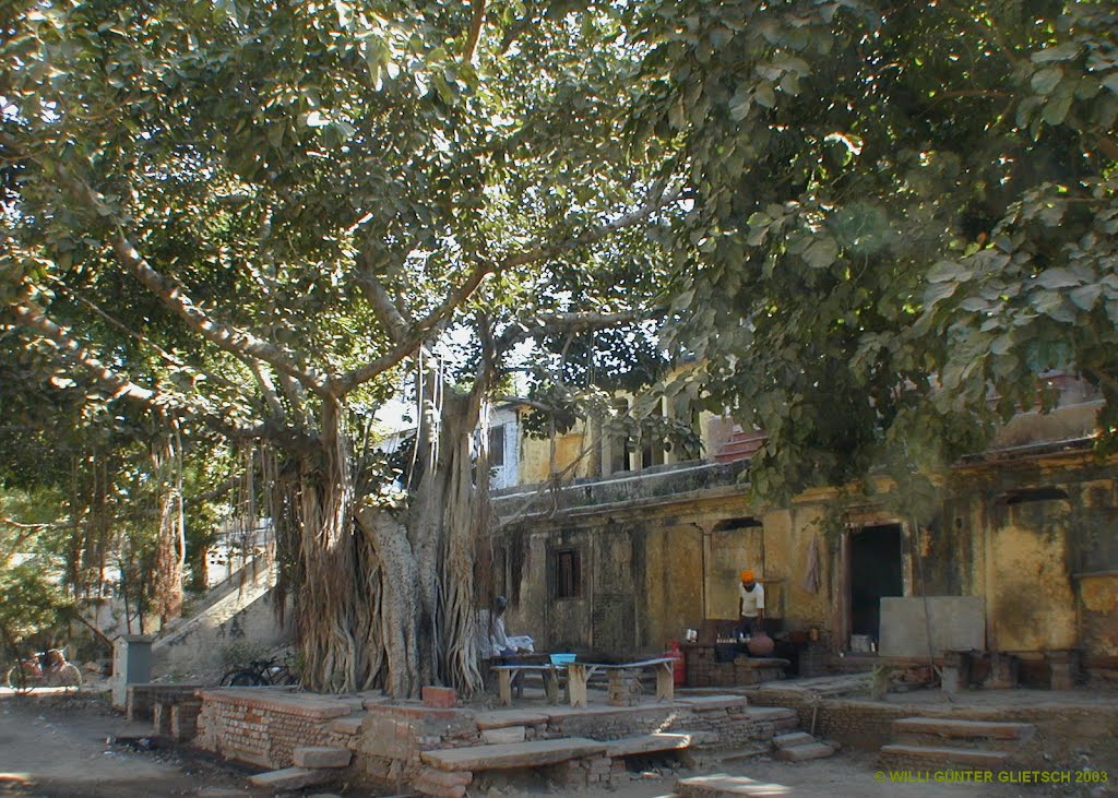 Bharatpur/Rajasthan