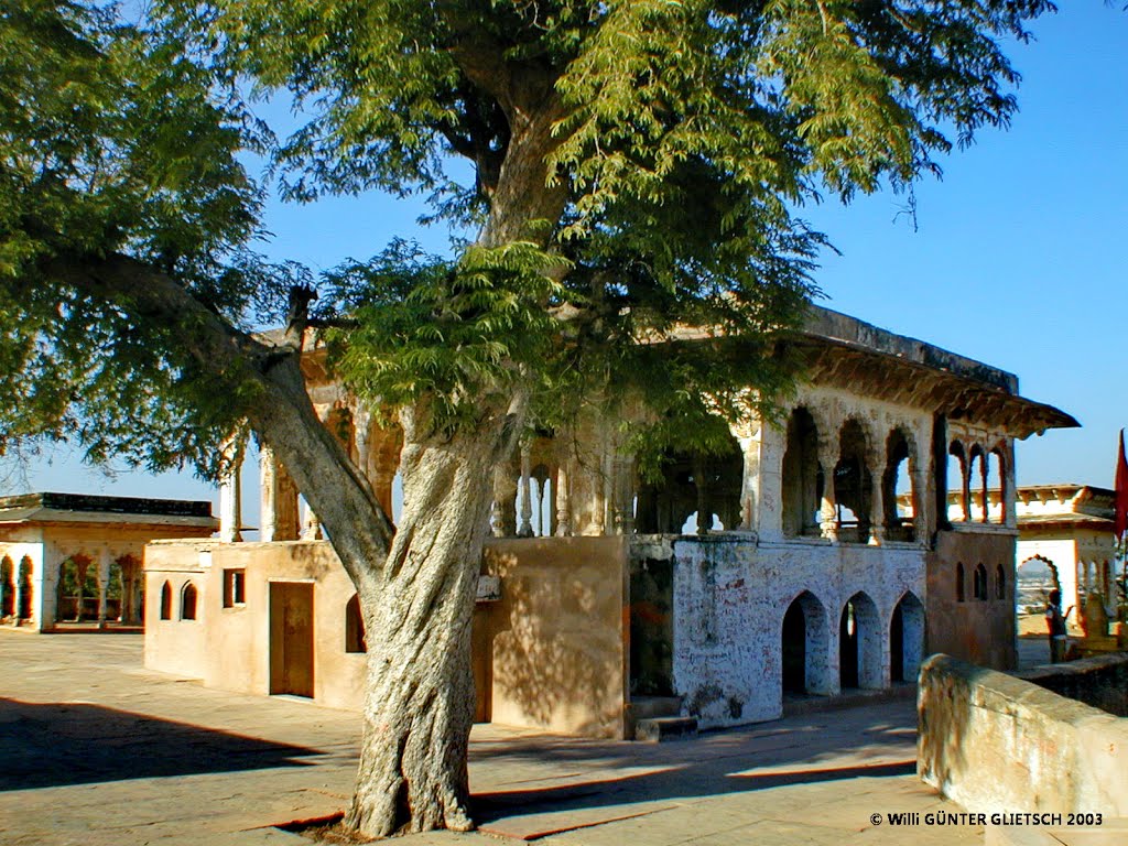 Bharatpur/Indien