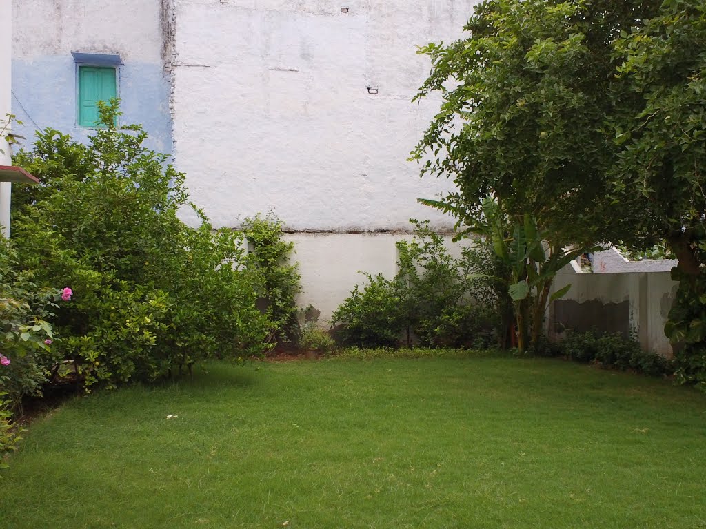 garden