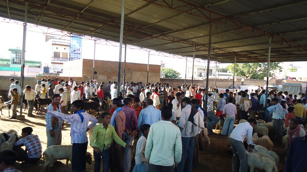 Bakra Mandi (Sikar).