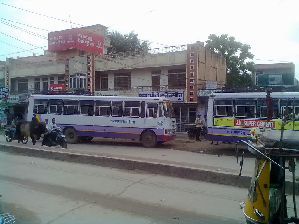 Sikar Bus