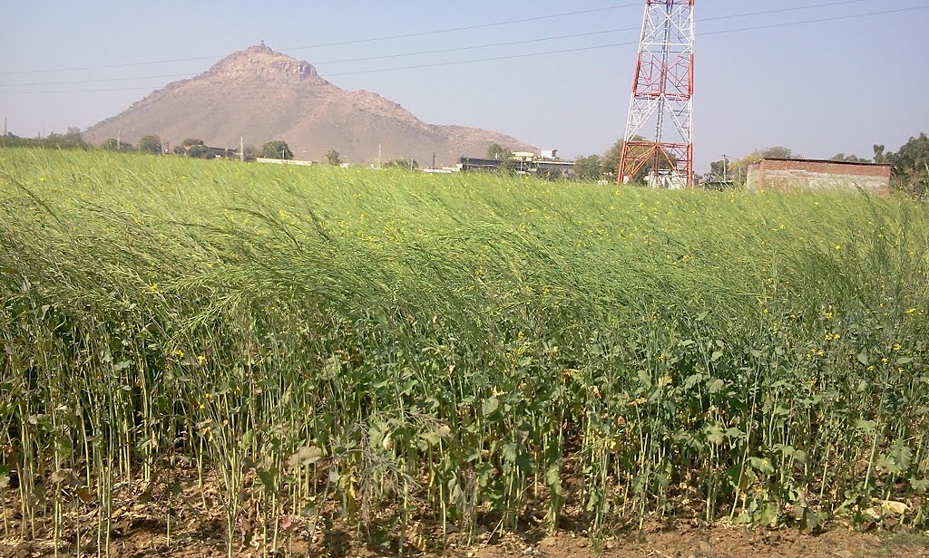 ASIF KHAN JAIPUR RAJISTAN TONK CITY  INDIA