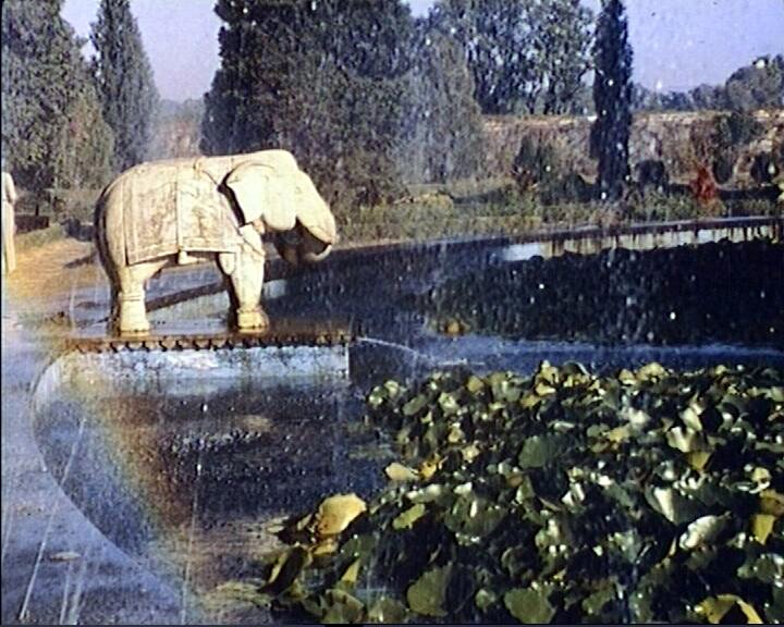 Udaïpur - le jardin de léléphant