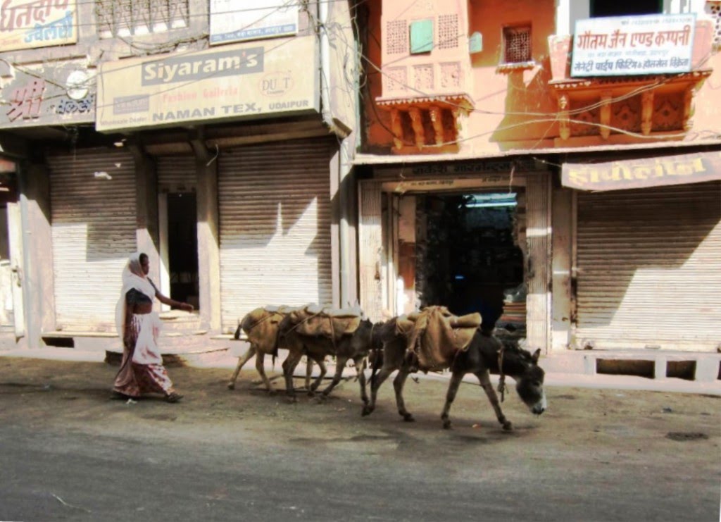 Udaipur. Here the camels are replaced by donkeys.