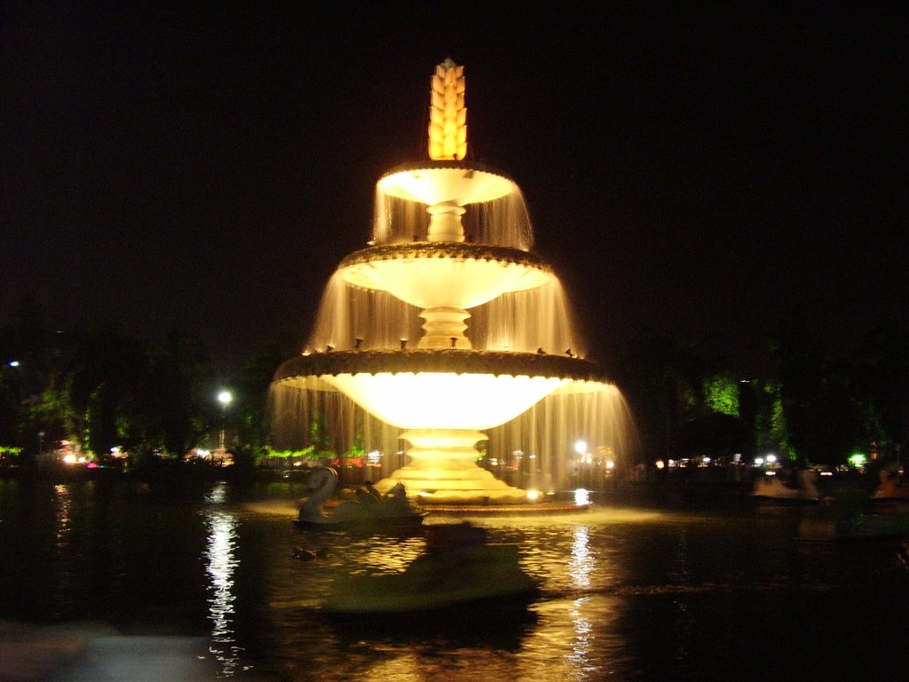 Sukhadia Circle by night