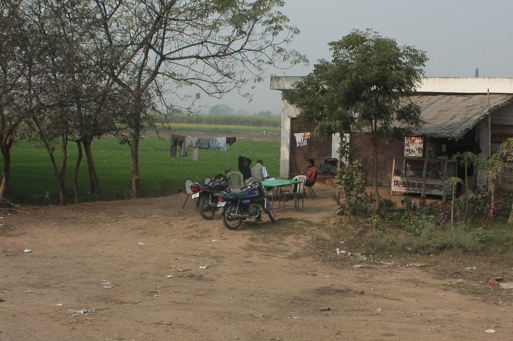 Roadside scene