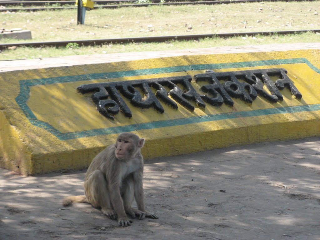 Hathras Junction