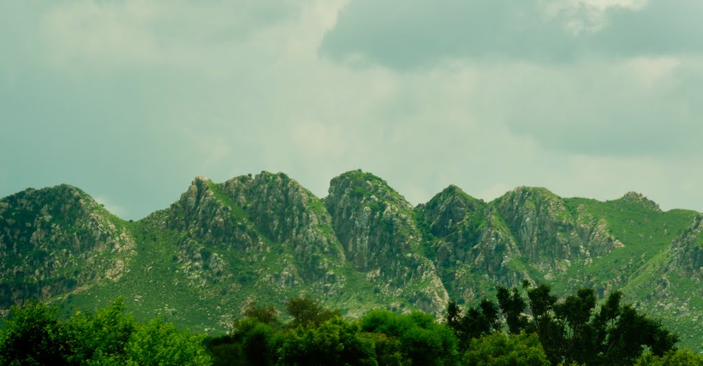 View of Rajasthans Semi Arid Zone  during Mansoon