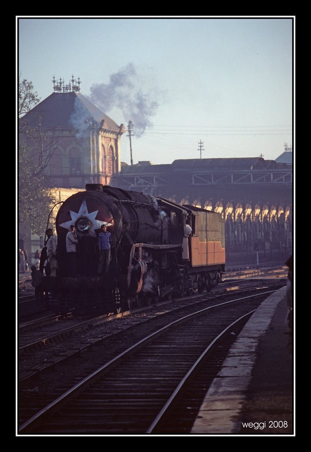 freeriders © weggi.ch