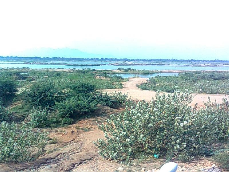 Kaveri river near Trichy