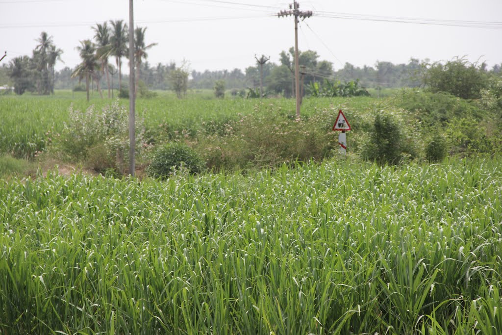 Neyveli to Chennai - 07/2012