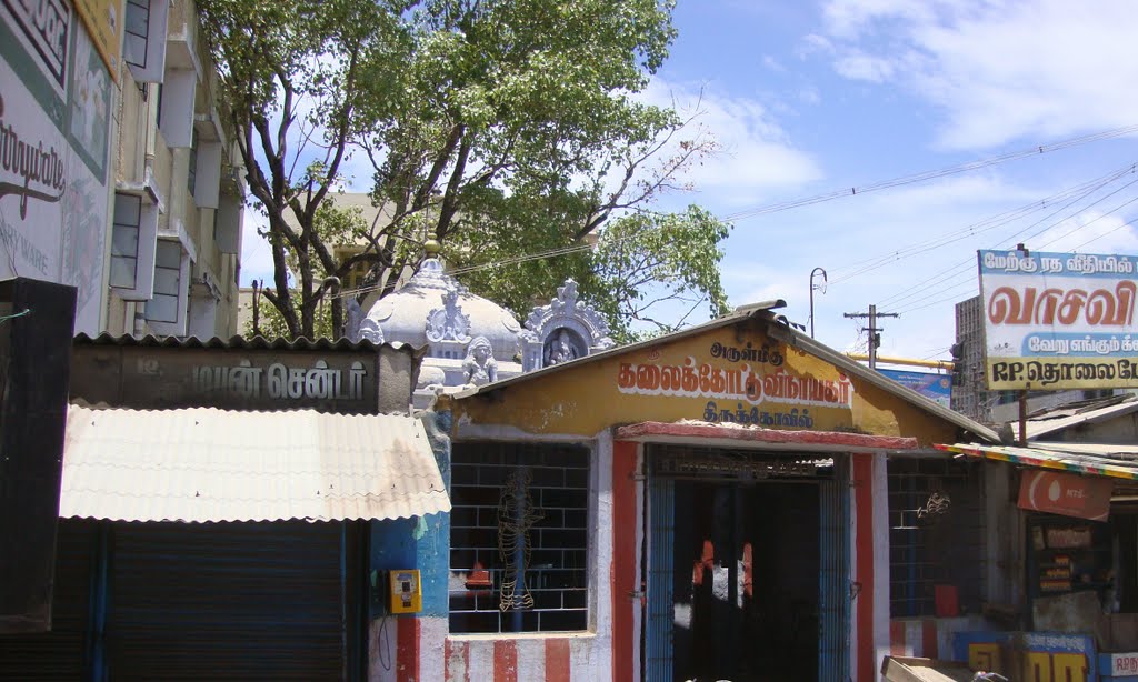 DSC04012 கலைக் கோட்டு விநாயகர் திருக்கோயில் Kalaikkottu Vinaayagar  11.38.29