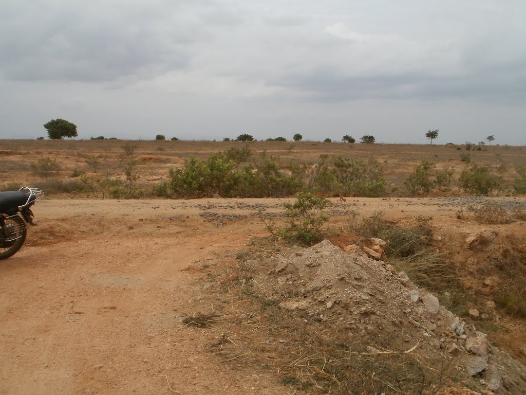 Erumaippatti