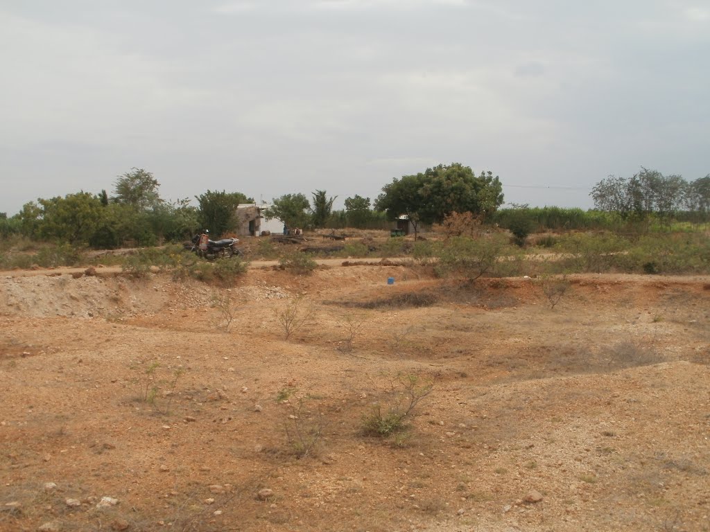Mettuppālaiyam