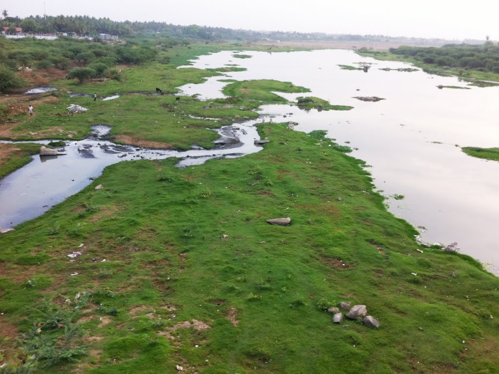 Train Scenery - Karur
