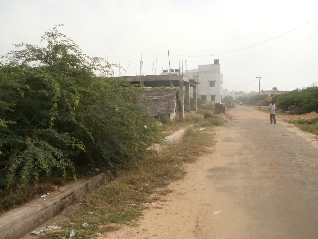 TRICHY TO KARUR ROAD VIEW